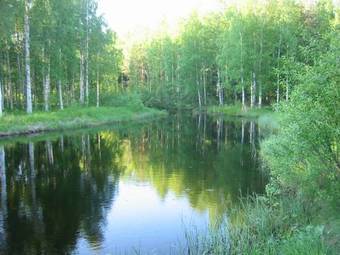 Country Hotel Eevantalo