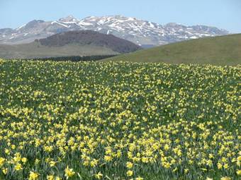 Hotel G�te Des Sagnes