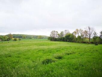 Apartamento Zum Singschwan