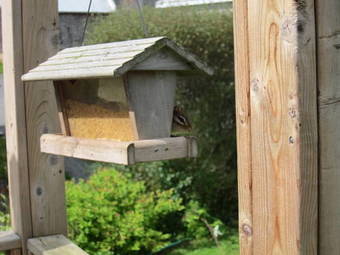 Posada Auld Farm Inn B&B