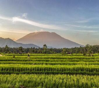 Dana Bali Ricefield Villa