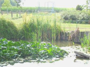 Poezelhoekvallei Loft