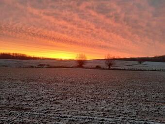 Bed & Breakfast A Coque'line