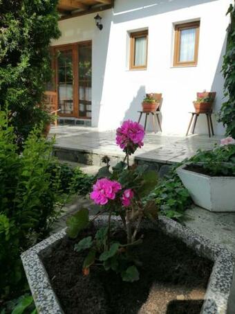 Apartm�ny 62
