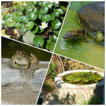 Villa Bees Bikes Boat Beach