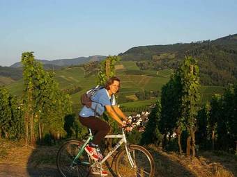 Hostal Gasthaus - Pension Hohberg