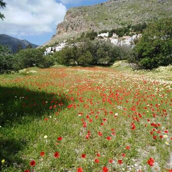 Tilos Island House