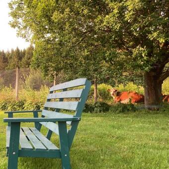 Hostal R�dseth G�rdsovernatting Deluxe/familie Rom