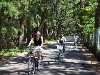 Kominka -nichigetsuan- Japanese Traditional Old House In Ojika Island, Nagasaki