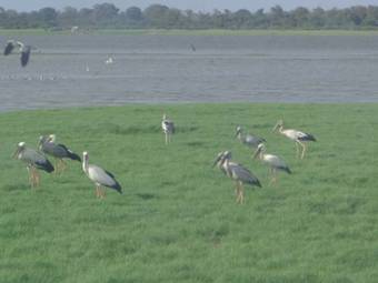 Hostal The Senaro Holiday Inn