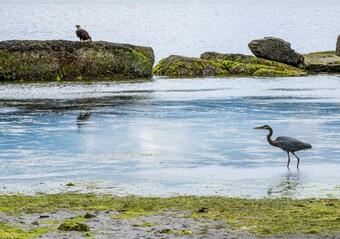 Hostal Lightwater Cove