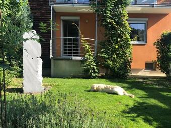 Apartamento Millies Hosting - Familienurlaub Mit Hund In K�rnten