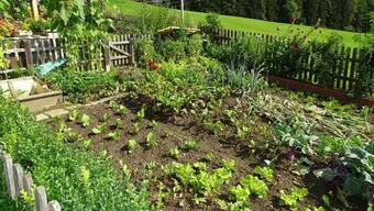 Apartamento Ferienwohnung Greim