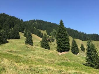 Jagdh�tte Gammeringalm