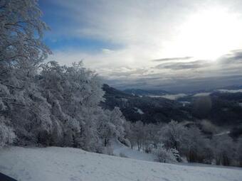 Apartamento M�rchenschl�ssel Altenstein