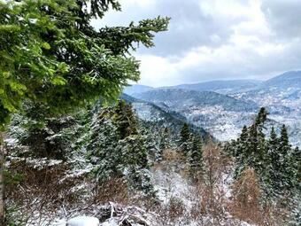 Apartamento Pavliani House