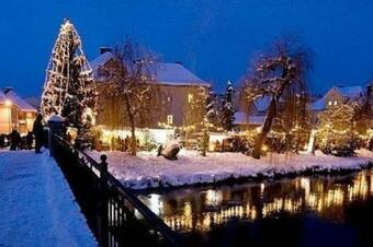 Apartamento Cozy Condo Close To Town, Castle, Lake And Hiking