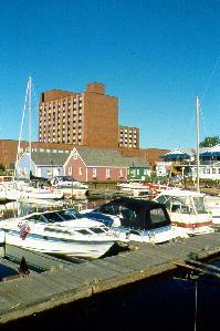 Delta Prince Edward Hotel - Delta Deluxe