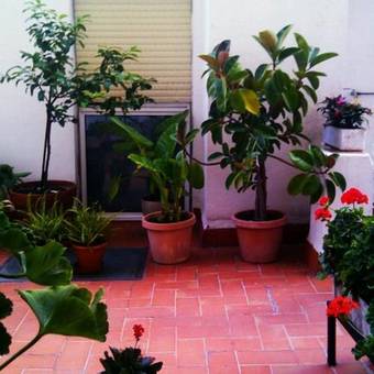 Apartament Conde Güell