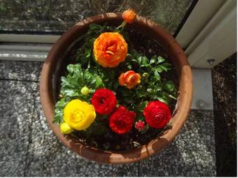 Hotel Residence Laitacherhof