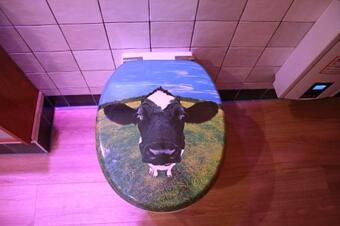 Ferienhaus L�ttje Swaan