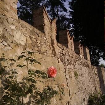 Apartamento Il Palagetto