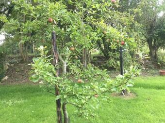 Apartamento An Both�n-cosy Cottage In The Cooley Mountains