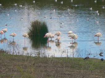 Lodge Holiday Home El Hortelano La Joya