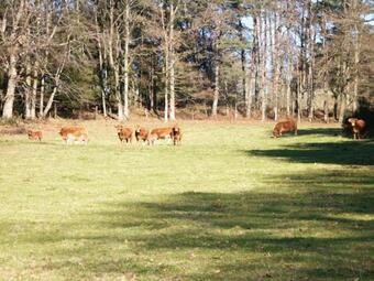 Maison D'une Chambre Avec Jardin Amenage Et Wifi A Meyrignac L'eglise A 3 Km De La Plage