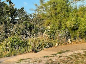 G�te � La Campagne, Havre De Paix Avec Vue