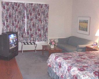 Hotel Comfort Inn Midtown Kingston - Standard Cb