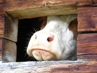 Agroturismo Gruberhof