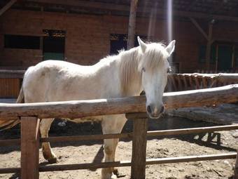 Aparthotel Xalet De Prades