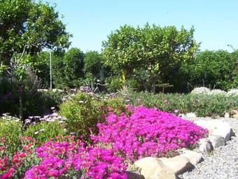 Bed & Breakfast Finca Lim�n