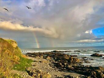 Glamping In The Redwoods
