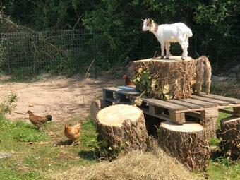 Camping Les Carolins