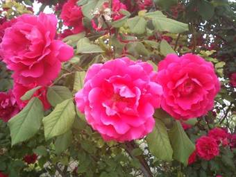 Casa Rural Asiento Del R�o