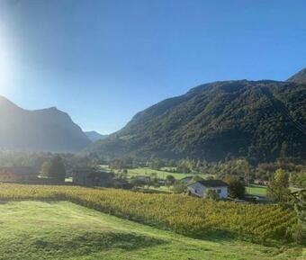 Apartamento Casa Vacanza Grappolo