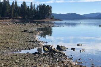 Lake Almanor Cabin With Deck, Less Than Half Mile To Beach!