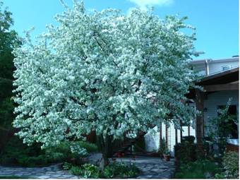 Bed & Breakfast La Maison Dufour & Bouchard