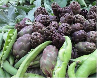 Agroturismo Agriturismo Casa Rosa