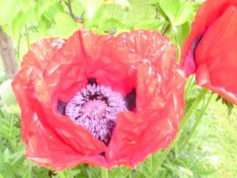 Hostal Land- & Panoramagasthof Sch�ne Aussicht