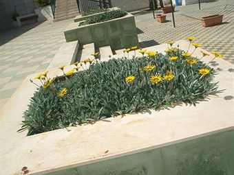 Apartamento Residence Cala Verde