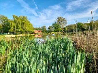 Jolie Roulotte Au Bord De La Mare