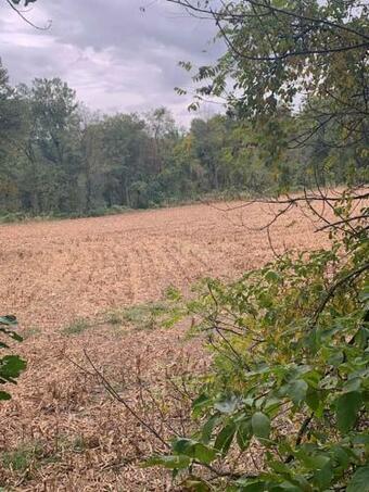 Apartamento Backyard Farm Retreat.home Of Peace An Relaxation.