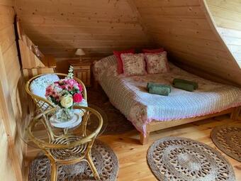 Villa Willa Pod Strzech?