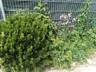 Cosy Chambre Plein D'amour Au 1er �tage Dans Pavillon � 1h15 De Paris