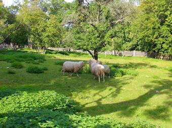 Villa Loveck� Z�me?ek Pod Mile?ovkou