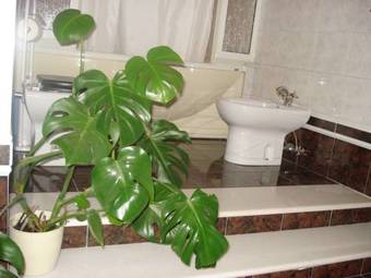 Bed & Breakfast La Mia Casa Per Tutti