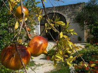 Agroturismo Masseria Lacco